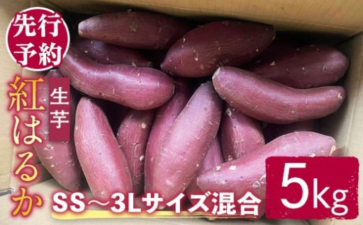 【訳あり】サツマイモ（紅はるか） 5kg ss～3Lサイズ混合