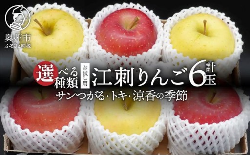 お試し用 江刺りんご 6玉 1.6kg  [AQ090-093]