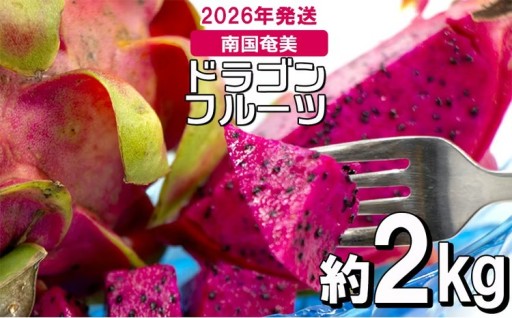 南国奄美のドラゴンフルーツ赤 約2kg（4～8玉入り）【2026年発送】
