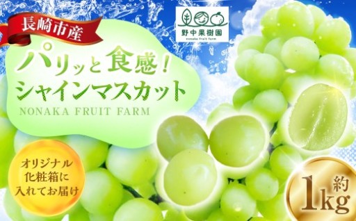 シャインマスカット 約1kg （2～3房） 【2026年8月上旬～下旬発送予定】 