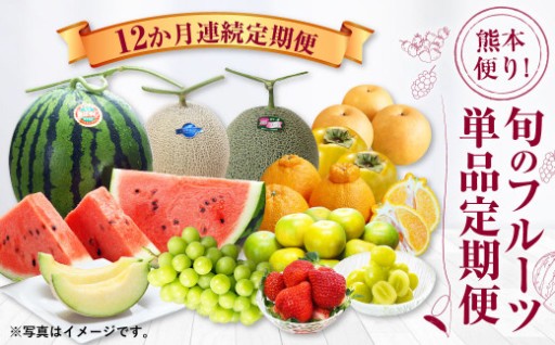 【12か月連続定期便】熊本便り！ 旬のフルーツ 単品定期便 