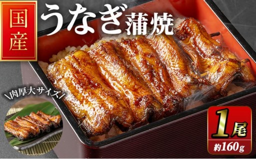 職人手焼き 国産うなぎ蒲焼 約160ｇ