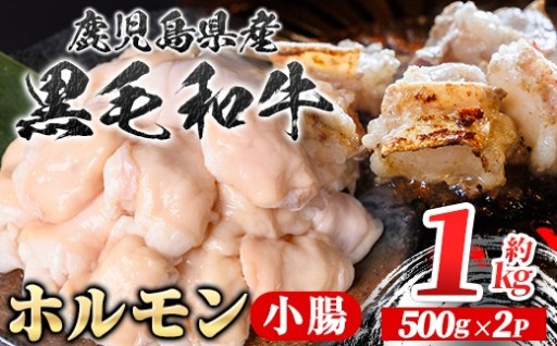 鹿児島県産黒毛和牛 ホルモン(約1kg)
