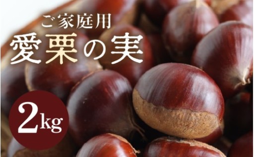 【先行予約】収穫したその日のうちに発送✨ホクホクの甘い栗🌰