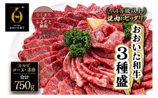 焼肉にピッタリ！✨【おおいた和牛】3種盛(カルビ・ロース・赤身)(合計750g)✨