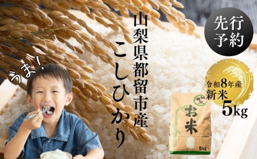 富士の湧水と寒暖差が育む、甘み際立つこしひかり