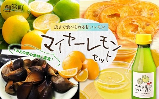 【御浜町は全国1️⃣位の生産量✨】たかみ農園マイヤーレモンセット