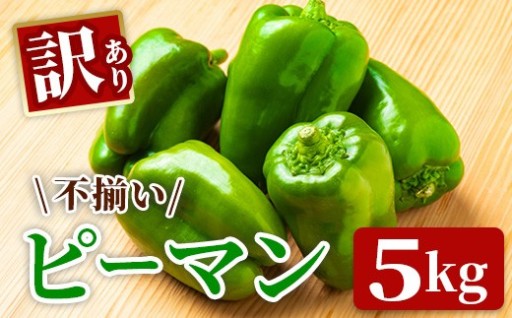 朝採れ / 農家直送【訳あり】ふぞろいピーマン 5kg