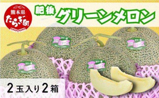 肥後グリーンメロン 4玉（2玉×2箱）計6.4kg以上