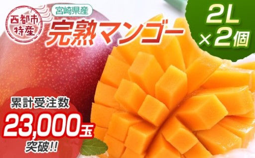 西都市産完熟マンゴー2L×2個