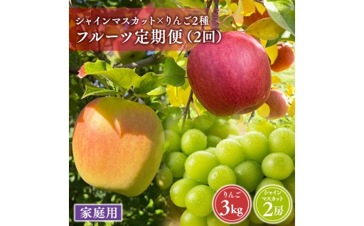 青森フルーツ満喫便　家庭用 りんご＆シャインマスカット 