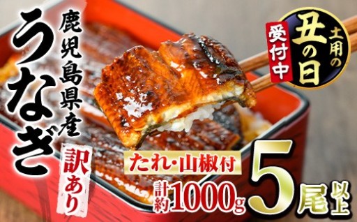 ＜土用丑の日までにお届け＞＜訳あり＞東串良町のうなぎ蒲焼(無頭)(5尾以上・計約1kg・タレ、山椒付)