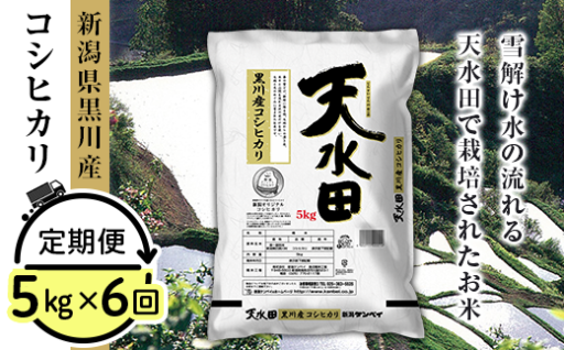 【6ヶ月連続お届け】新潟県黒川産コシヒカリ5kg【天水田】