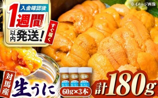 対馬産生うに60g×3本セット