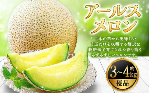 山形おきたま産 アールスメロン （優品） 2玉（約3kg～4kg）