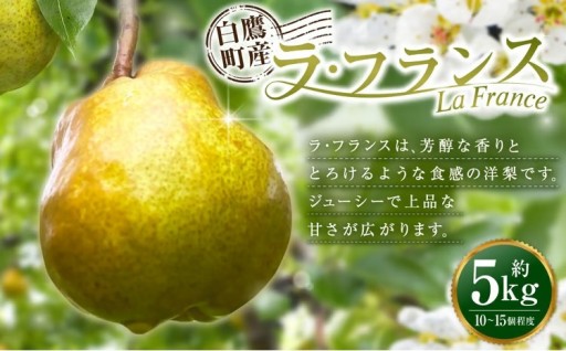 白鷹町産ラ・フランス5kg