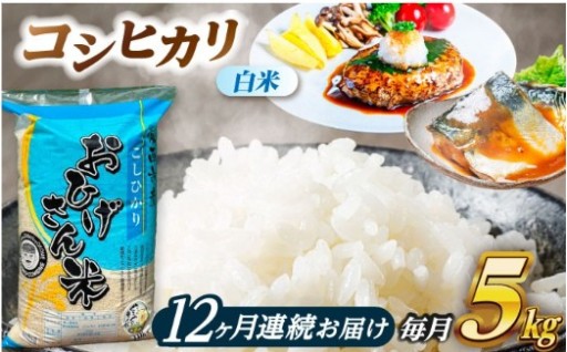 【12ヶ月の安心】重いお米、もう買いに行かなくて大丈夫。親子3代が守り抜く「極上コシヒカリ」定期便。