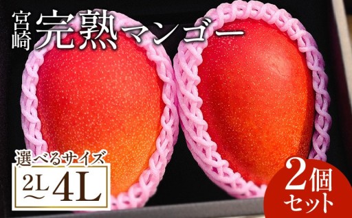 【宮崎県宮崎市】☀️🥭宮崎完熟マンゴー2玉🥭☀️