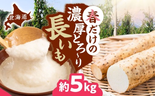 【残り約1週間！】春だけ！とろ～り濃厚長いも