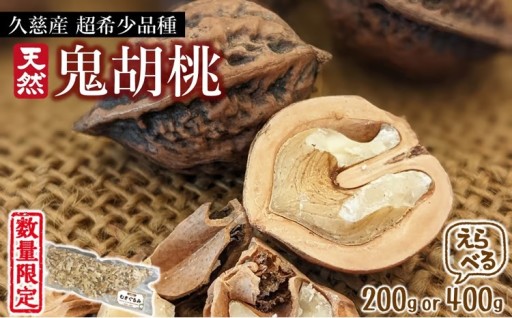 【超希少！】久慈産天然「鬼胡桃」むきくるみ