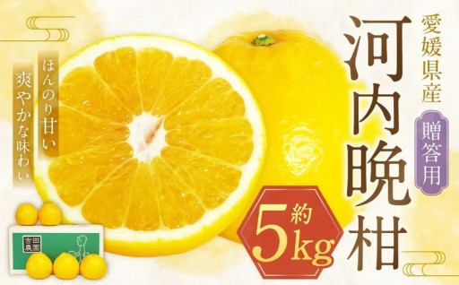贈答用 河内晩柑 5kg【えひめの町（超）推し！（愛南町）】