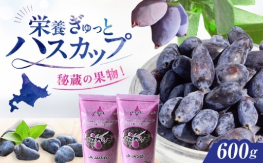 北海道の宝石！美唄産ハスカップ600g