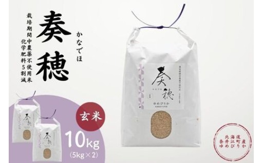 北海道奈井江町産のお米が登場　農薬不使用米の「ゆめぴりか」