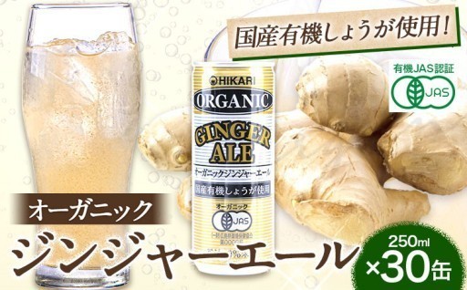 ★有機JAS認証★ジンジャーエール