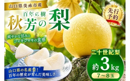 【先行予約】二十世紀梨 （約3kg）
