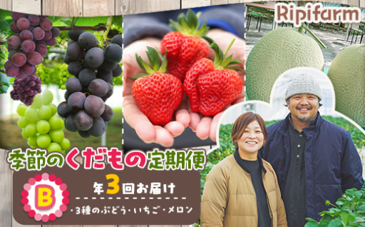 季節のくだもの定期便（ぶどう・メロン・いちご）