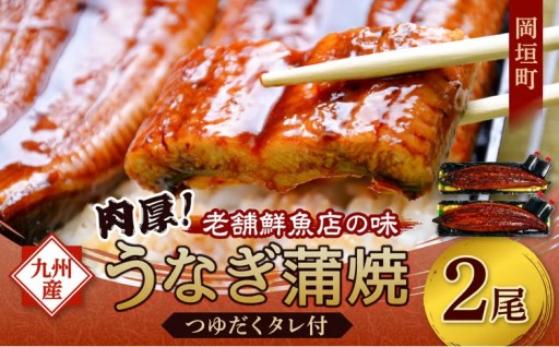 【老舗鮮魚店秘伝の味】肉厚！九州産うなぎ蒲焼2尾 つゆだくタレ付