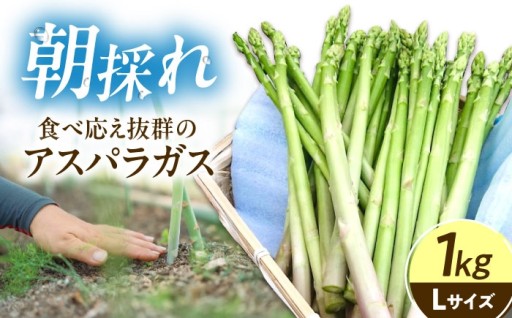 収穫直送！シャキッと甘い福山アスパラの恵み