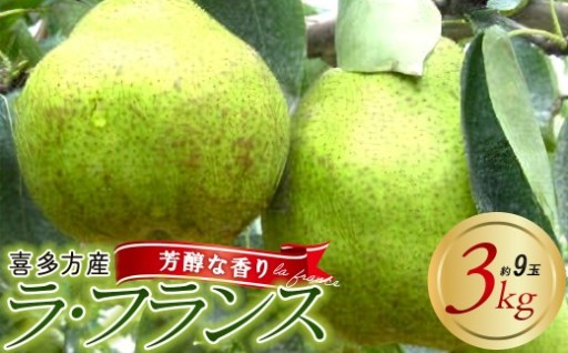 2026年11月上旬発送 西洋なし 3kg（約9玉