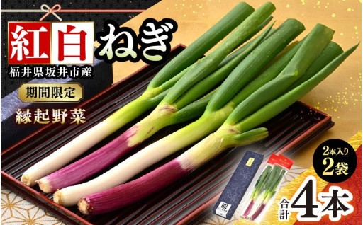 【先行予約】冬だけの縁起野菜「紅白ねぎ」🔴⚪
