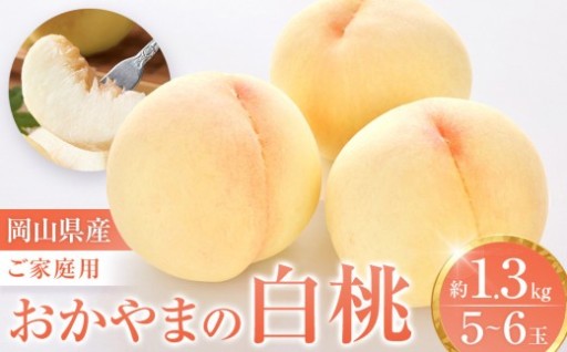 おかやまの白桃 1.3kg 5～6玉（ご家庭用）