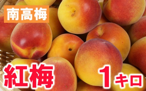 ひらそ農園の紅梅 1kg
