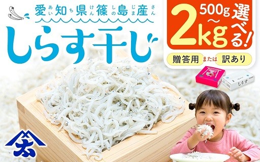 スピード発送！【訳あり／贈答・量も選べる】篠島産 しらす
