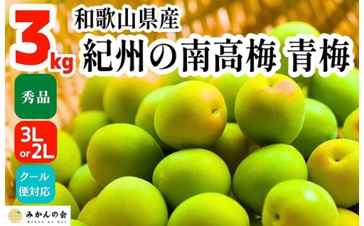 ［2026年6月上旬出荷］青梅 南高梅 3kg 秀品 3Lまたは2Lサイズ
