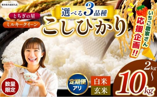 【先行予約！！】新米 米 訳あり  コシヒカリ こしひかり とちぎの星 ミルキークイーン