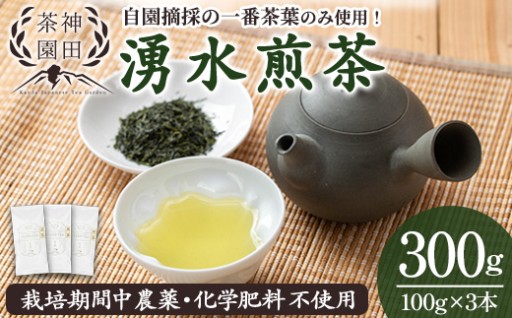 《数量限定》鹿児島県湧水町産！栽培期間中農薬・化学肥料不使用！湧水煎茶(100g×3本) 【神田茶園】