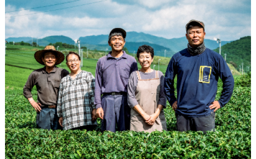 霧山茶園の新茶の収穫が始まっています
