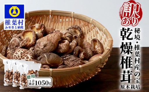 椎葉村産原木乾しいたけ900g（300g×3袋）