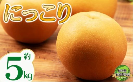 【2026年先行予約】栃木県共通返礼品 宇都宮産 にっこり 5kg