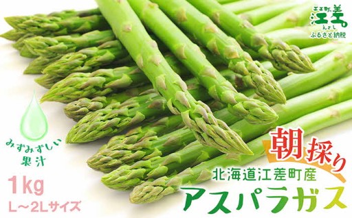 夏アスパラ先行予約受付中【L～2Lサイズ】1kg