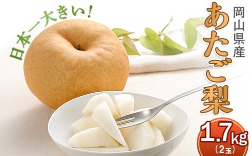 岡山県産あたご梨 2玉（約1.7kg）