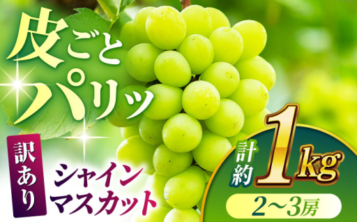 【先行予約】【訳あり】 シャインマスカット 約1kg(2～3房)