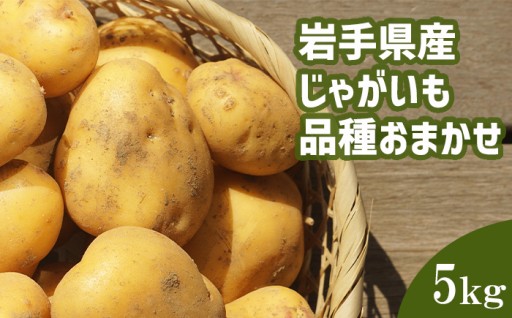 岩手県産じゃがいも！きたあかりorはるか 5kg