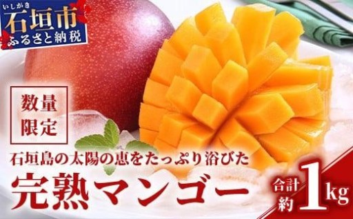 【数量限定】石垣島の太陽の恵み『完熟マンゴー』