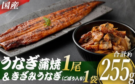 九州産うなぎ蒲焼×1尾 + 国産きざみうなぎ ごぼう入り（タレ付き）×1袋 セット