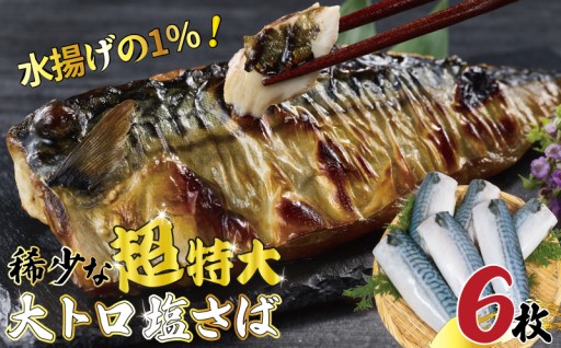 超特大 ！ 大トロ 塩さば ６枚